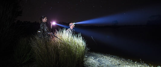 Duck Duck Goose: Duck Hunting in New Zealand