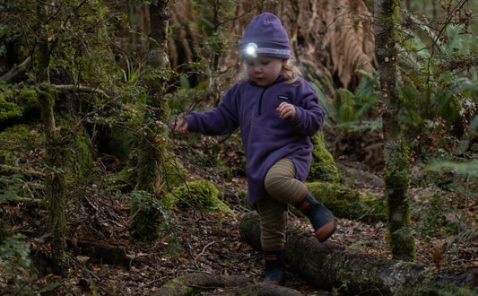 Glowworm hunting NZ