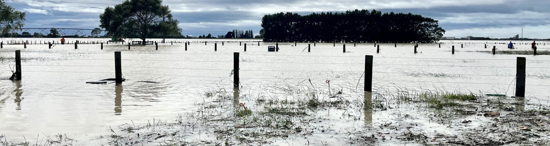 Emergency Preparedness in NZ: Why a Reliable Torch Matters
