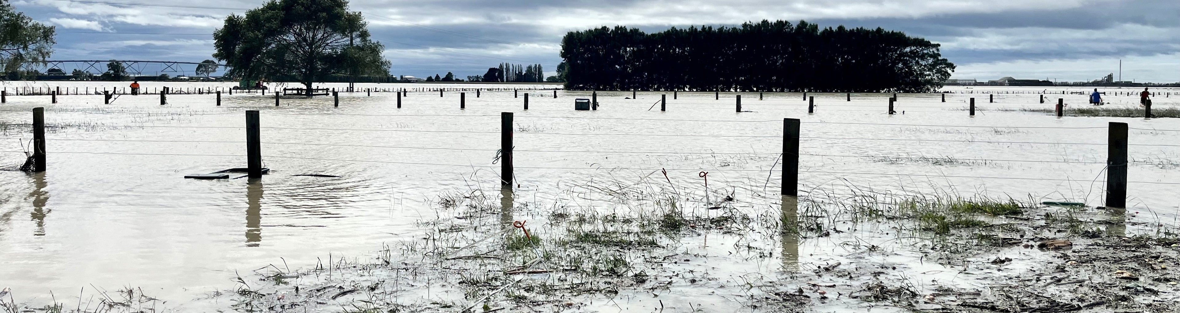 Emergency Preparedness in NZ: Why a Reliable Torch Matters