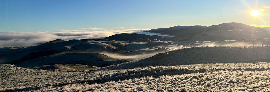 From Calving To Culverts: The Best Farm Lighting NZ