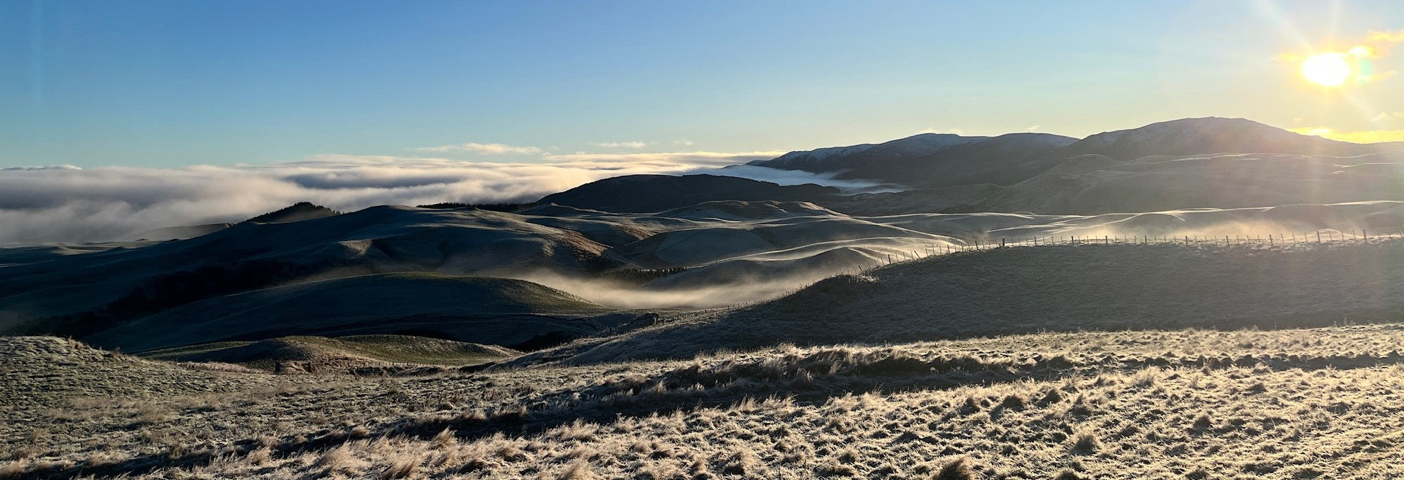 From Calving To Culverts: The Best Farm Lighting NZ