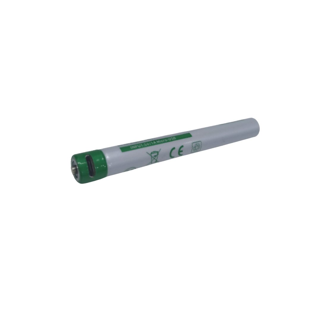 10900 600 mAh Rechargeable Battery (P4R Core)