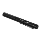 P4 Torch