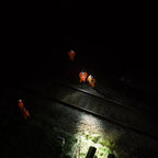 Three workers in high-visibility orange safety suits standing on train tracks at night under harsh overhead lighting, with one worker standing nearby on the left. All are wearing Ledlenser H14R Pro headlamps